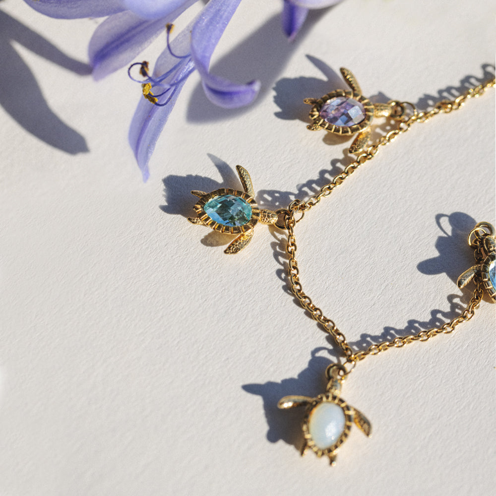 Turtle – PAUL HEWITT