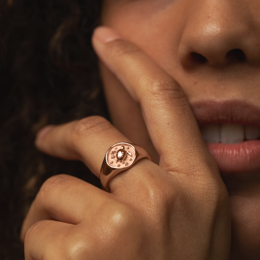 Turtle Signet Ring Roségold