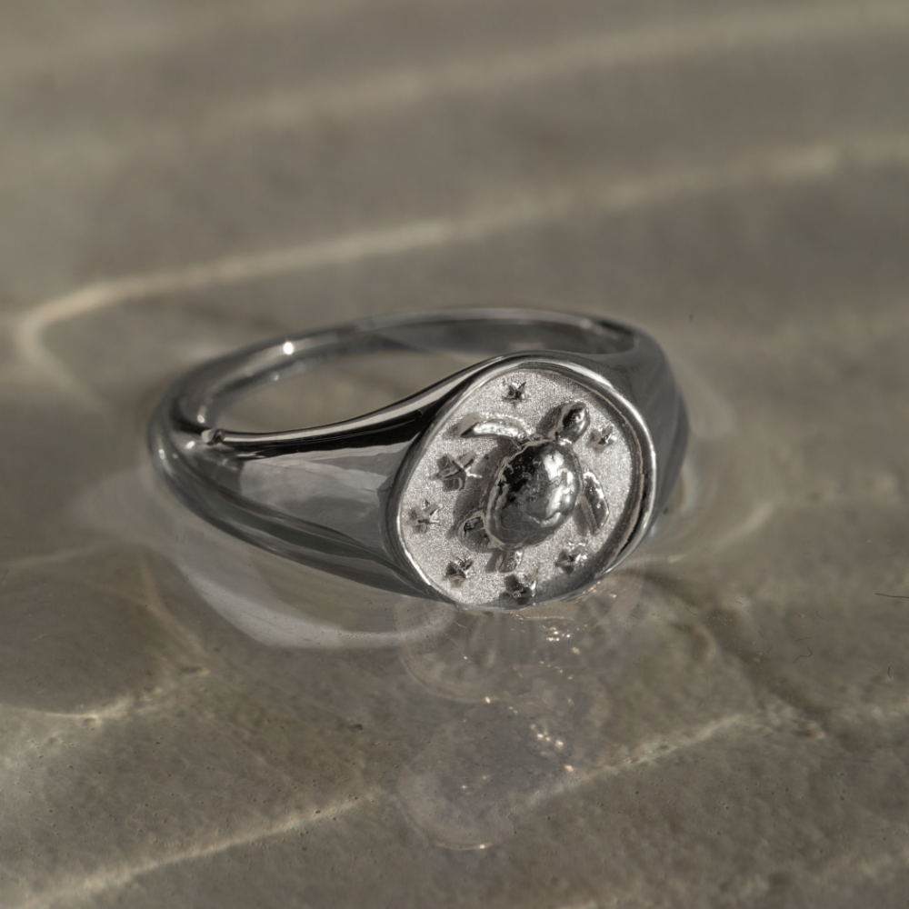 Turtle Signet Ring Silber
