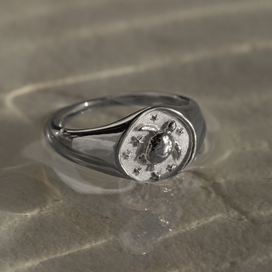 Turtle Signet Bague Argent