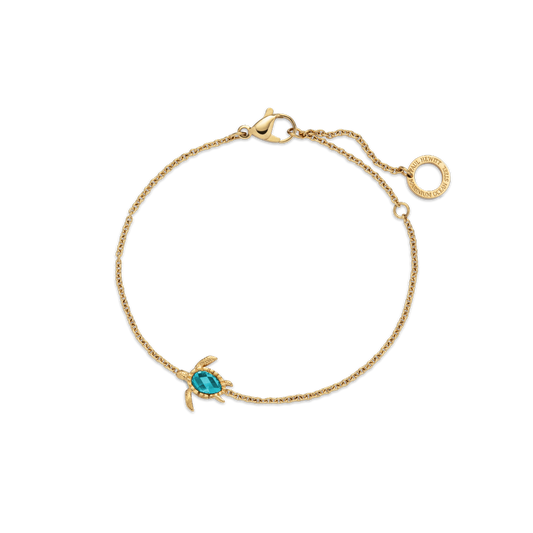 Set Turtle VI Gold