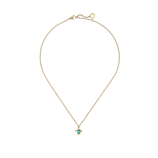 Set Turtle VI Gold