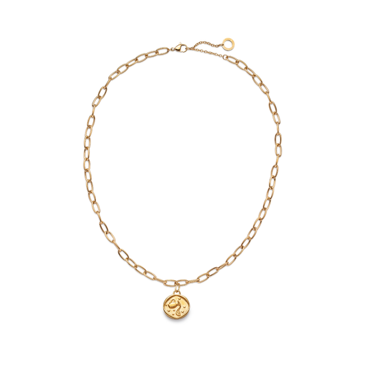 Anchor-Necklace-Aquarius-Charm-Gold-MariniumNEW-SIZE
