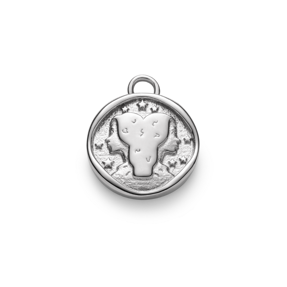 Gemini Charm Silber