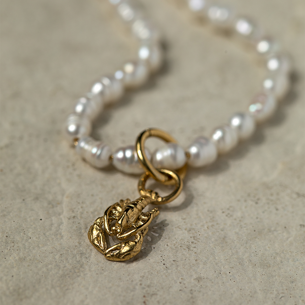 Set Lobster Charm und Armkette Gold