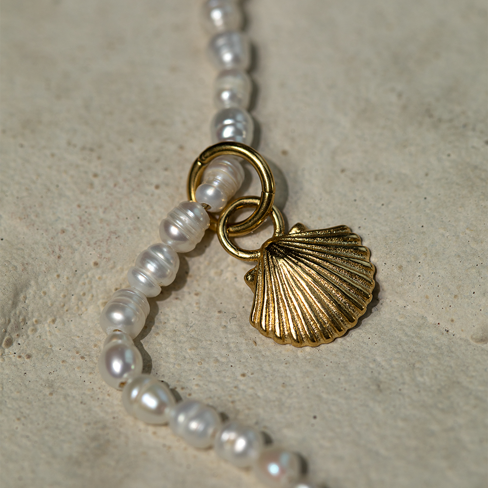 Set Scallop Shell Charm und Armkette Gold