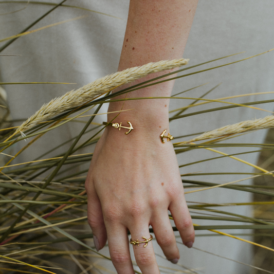 Paul hewitt 2025 anchor ring