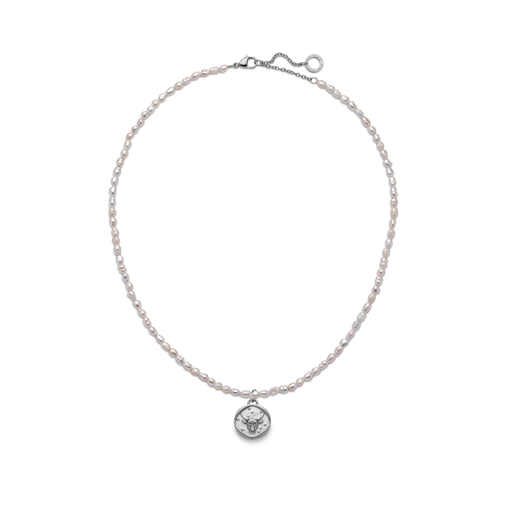 Set Taurus Charm und Halskette Silber
