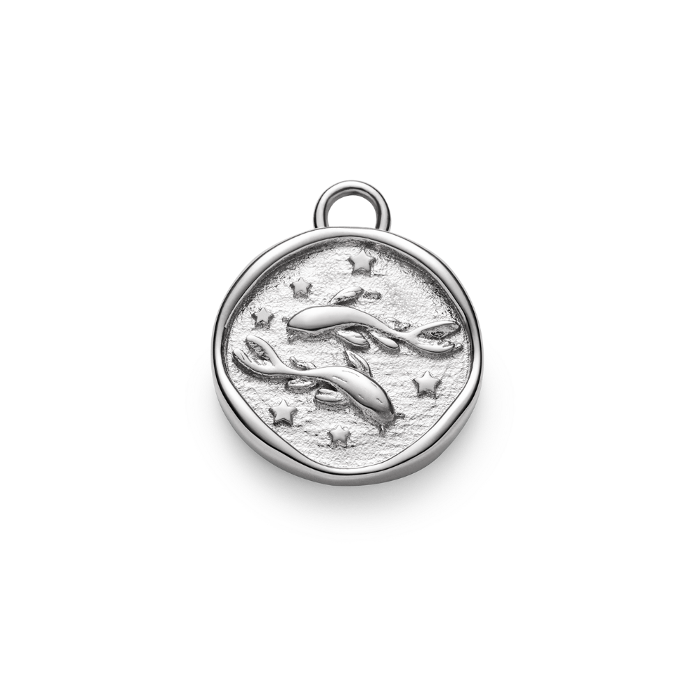 Pisces Charm Silber
