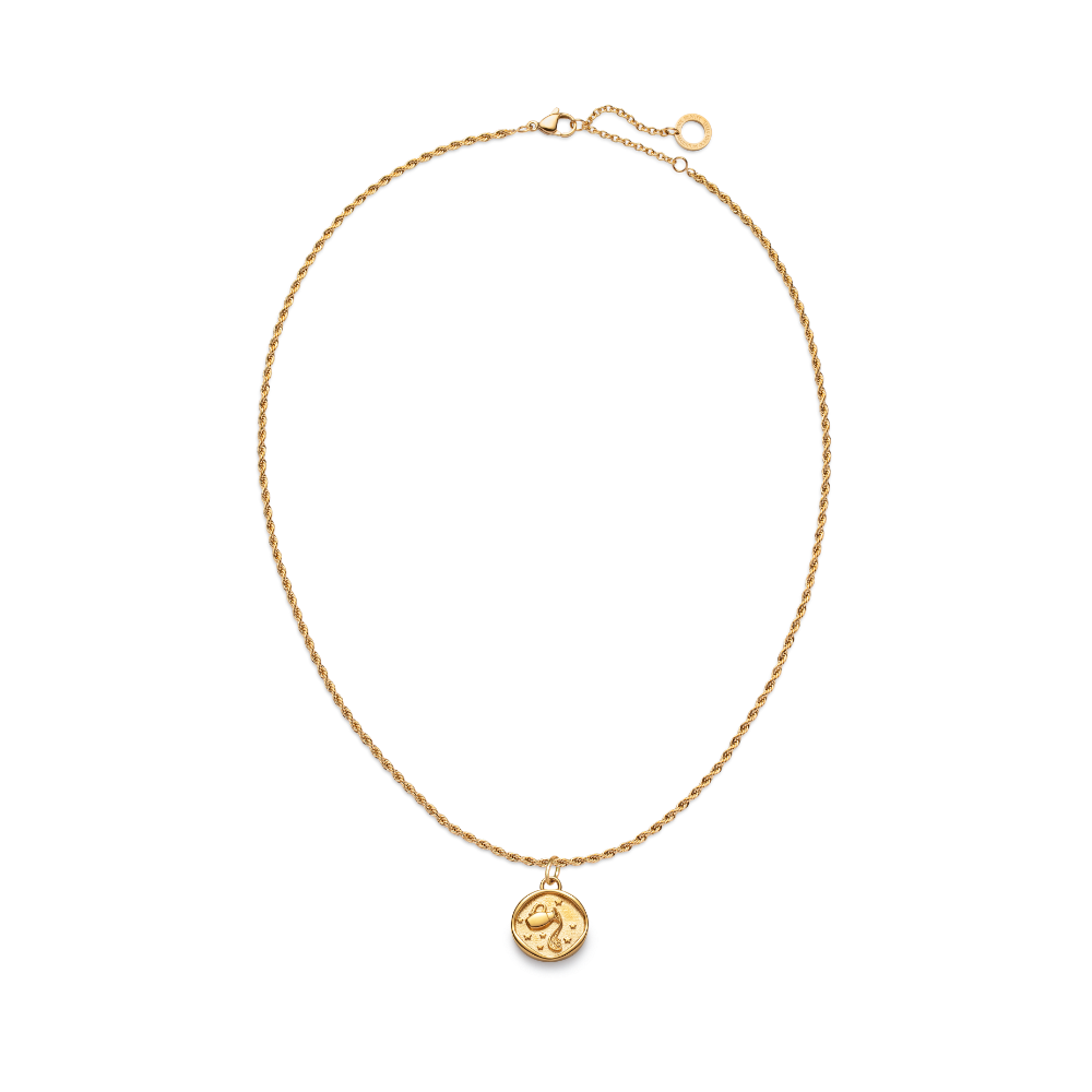 Set Aquarius Charm und Halskette Gold