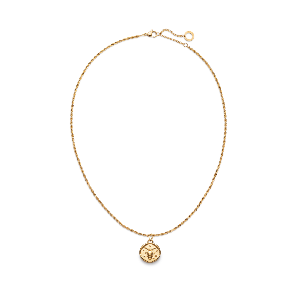 Set Capricorn Charm und Halskette Gold
