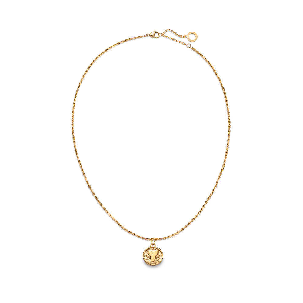 Set Gemini Charm und Halskette Gold