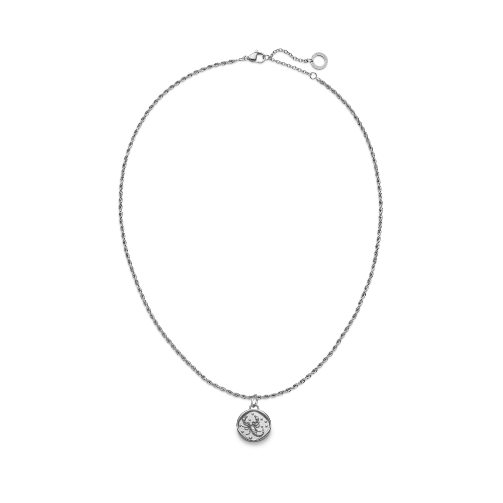 Set Scorpio Charm und Halskette Silber
