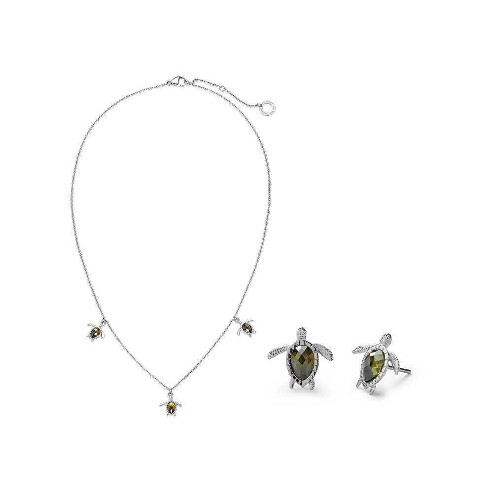 Set Turtle Silber