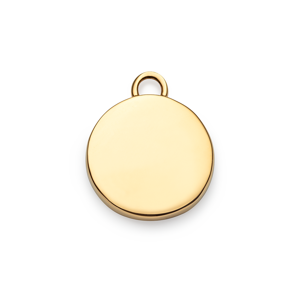 Set Aquarius Charm und Armkette Gold