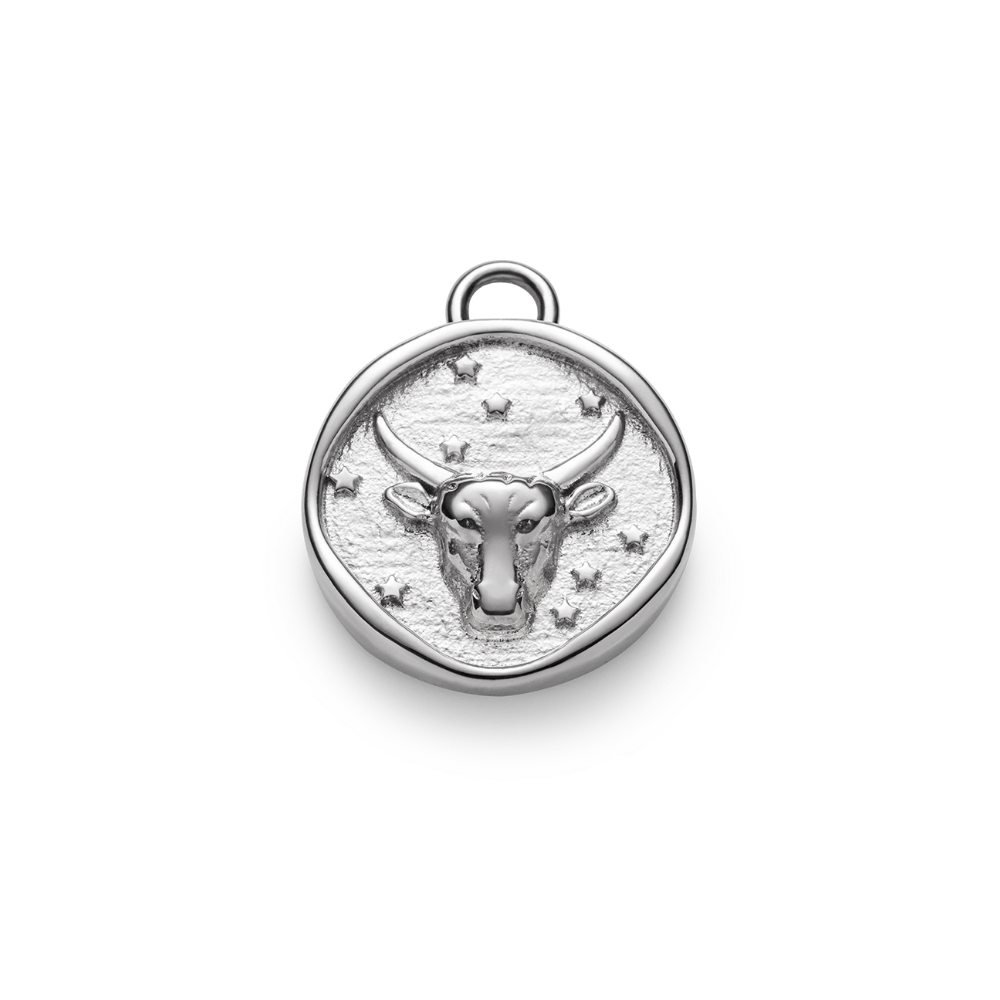 Taurus Charm Silber