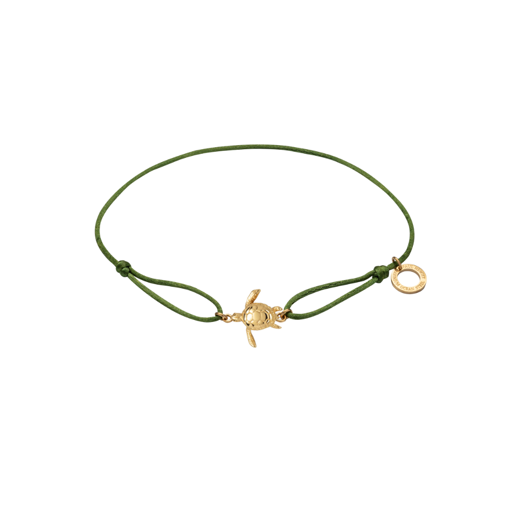 Turtle Band Grün