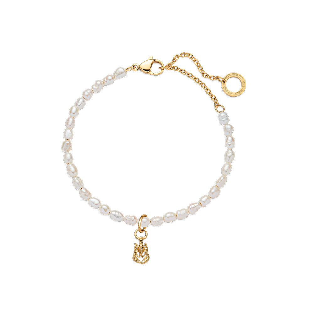 Set Lobster Charm und Armkette Gold