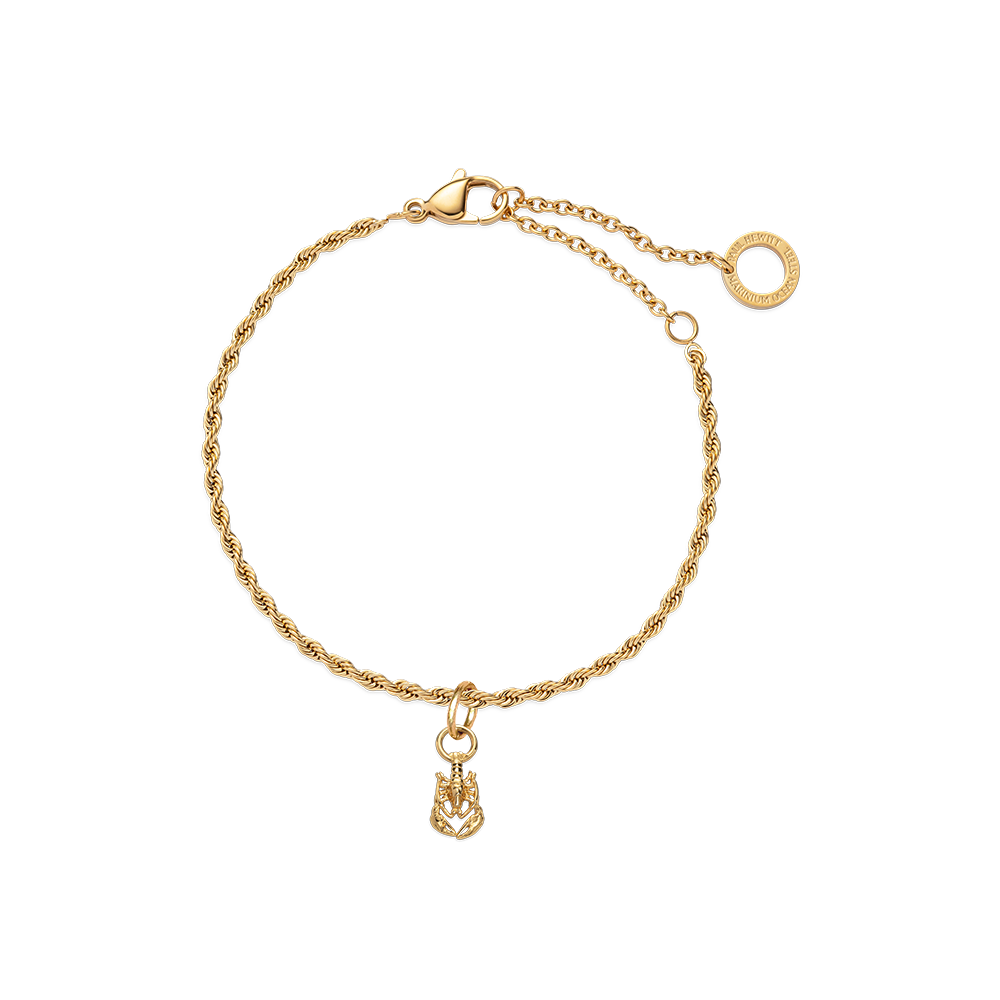 Set Lobster Charm und Armkette Gold