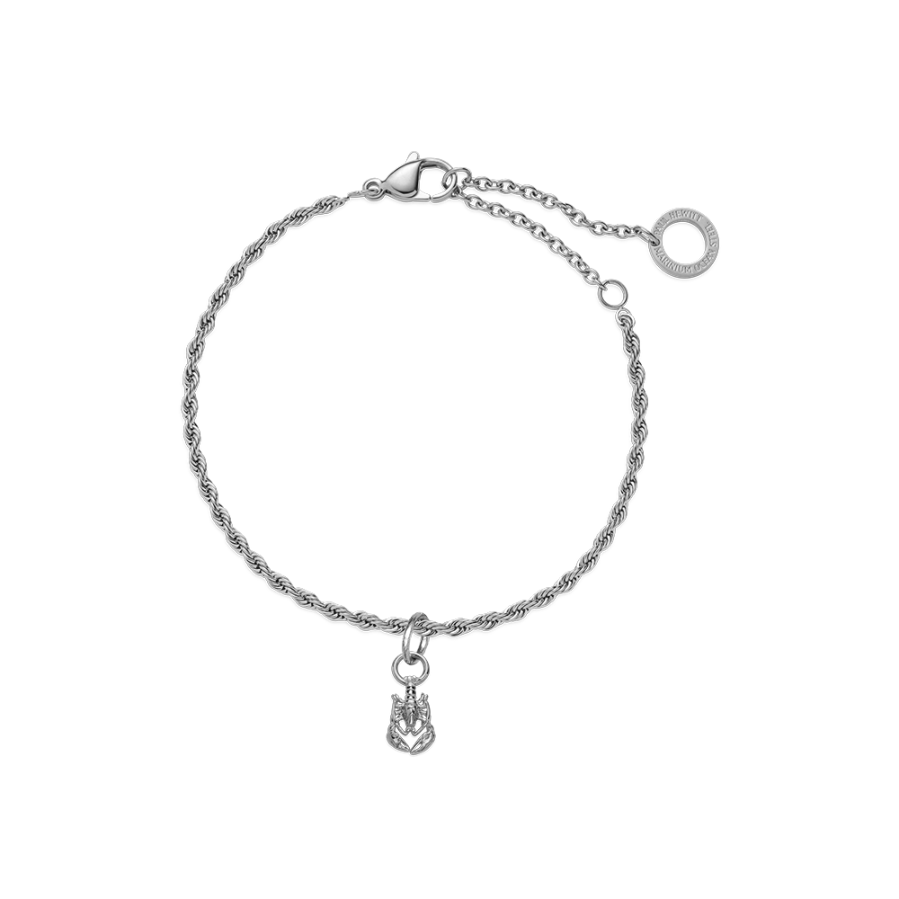 Set Lobster Charm und Armkette Silber