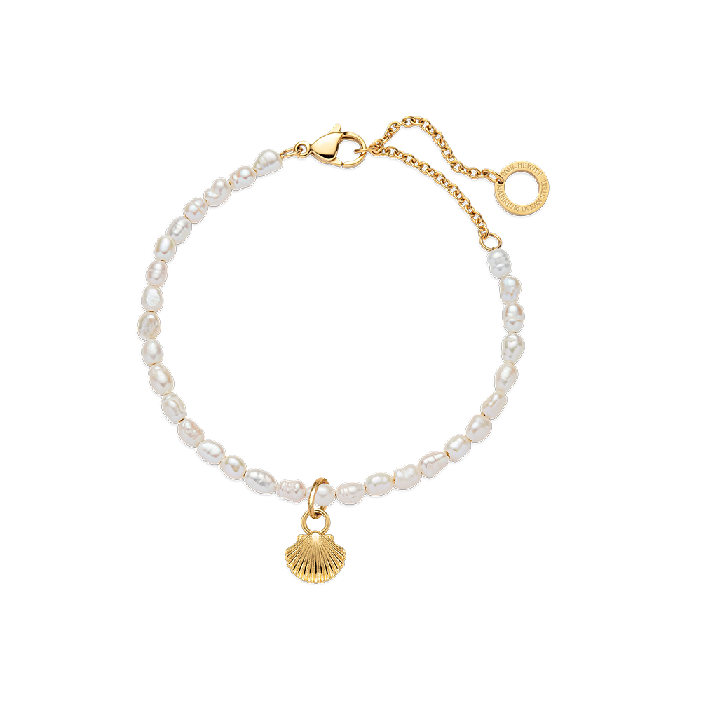 Set Scallop Shell Charm und Armkette Gold