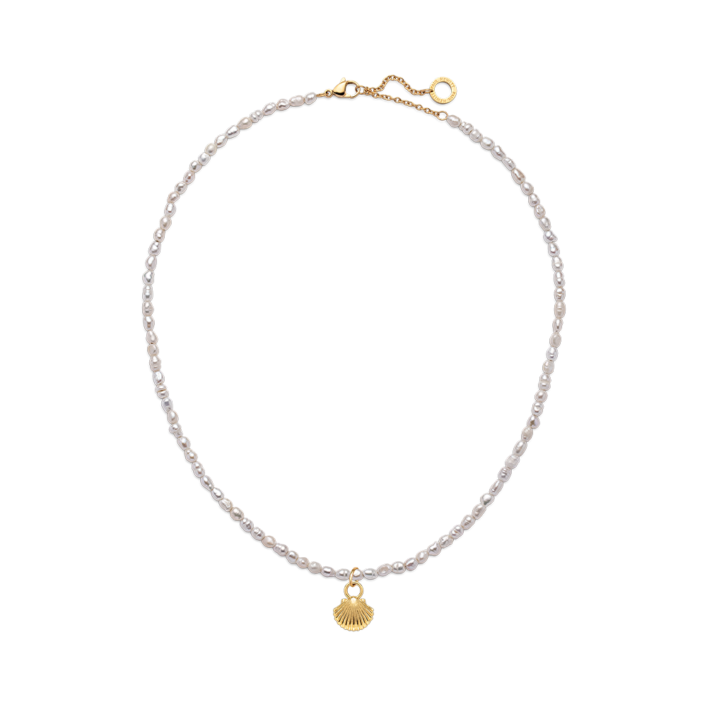 Set Scallop Shell Charm und Halskette Gold