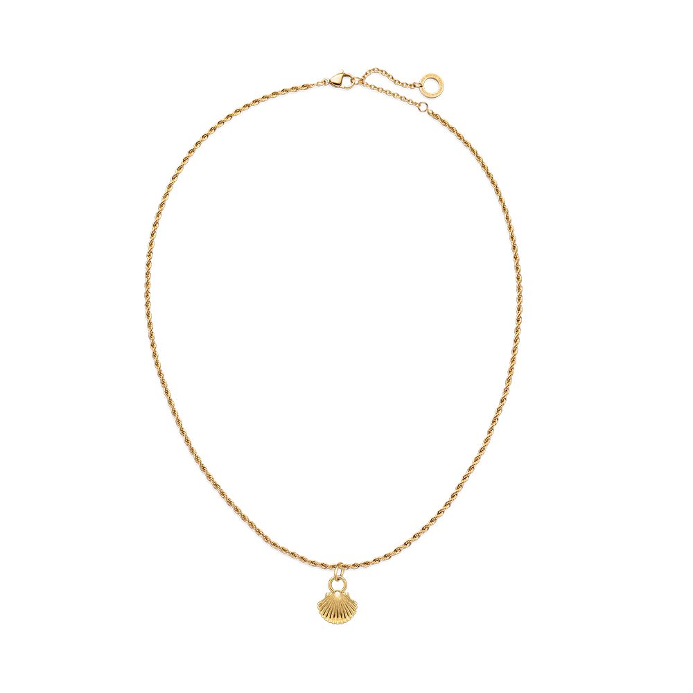 Set Scallop Shell Charm und Halskette Gold