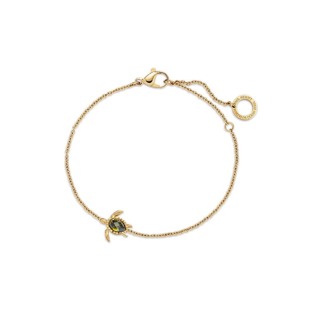 Turtle – PAUL HEWITT