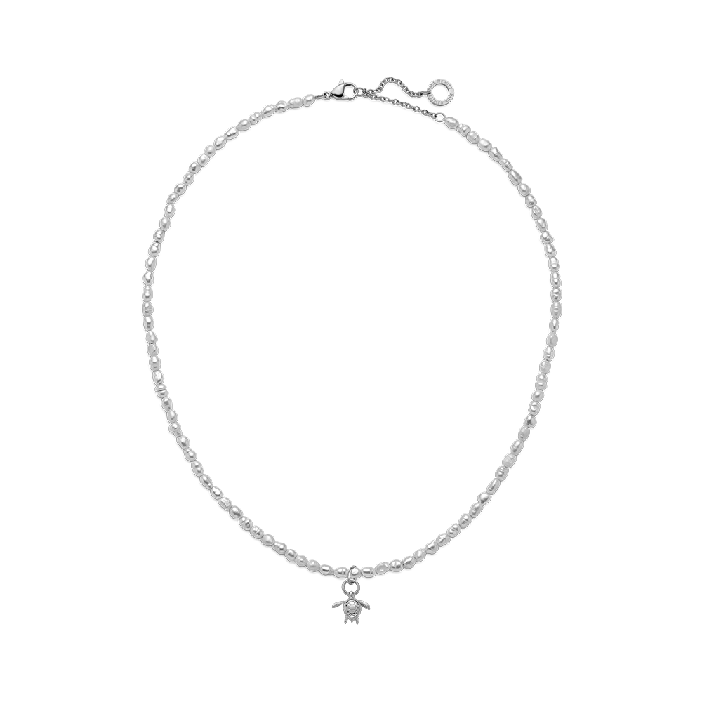 Set Turtle Charm und Halskette Silber