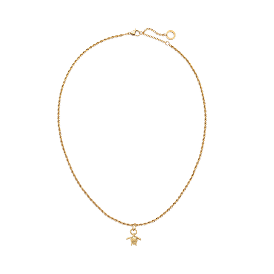 Set Turtle Charm and Necklace Gold